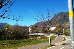 Каруж (фр. Carouge)