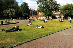 Томпкинс-сквер-парк в Дублине