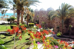 Отель Utopia Beach Club 4 в Марса Алам, Египет*