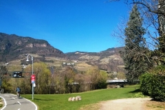 Больцано — город на севере Италии, в области Трентино-Альто-Адидже (Южный Тироль)