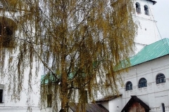 Спасо-Преображенский монастырь в Ярославле