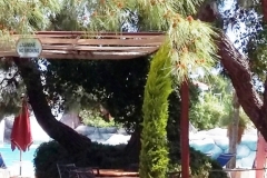 Несколько кафе и ресторанов в Бельдиби (Турция)