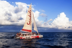 Red Dread — это серия парусных катамаранов