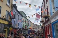 Голуэй — город в Ирландии, находится в графстве Голуэй (провинция Коннахт)