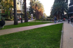 Пешеходная улица Навагинская — улица в Центральном микрорайоне Центрального района города Сочи