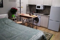 Студия 25 м² с кухней, обеденным столом и кроватью