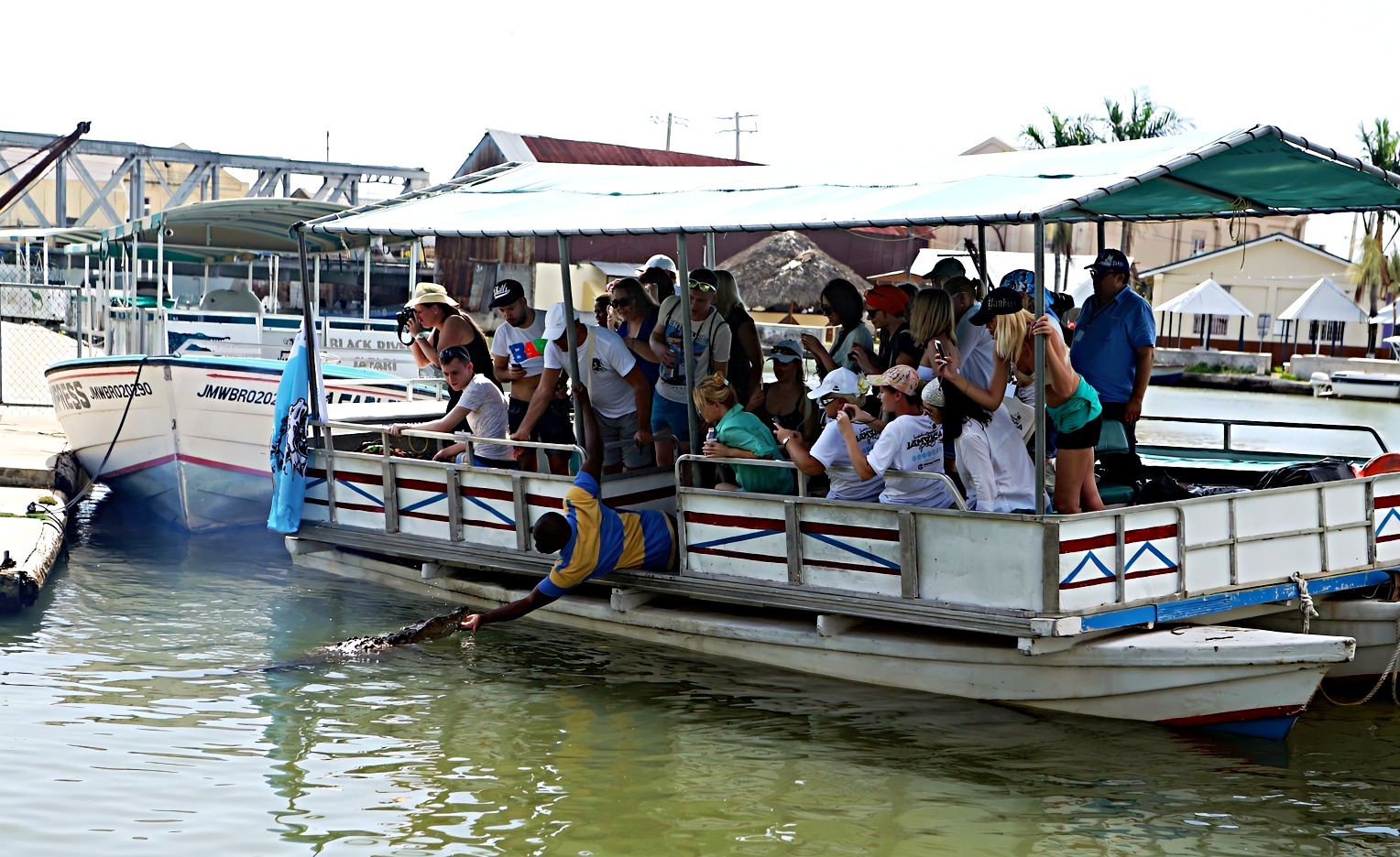 Boat tour по реке Блэк-Ривер в Четумале, Ямайка. Несколько компаний, которые предлагают boat tours по реке Блэк-Ривер на Ямайке: Love Travel Jamaica. Тур на час по природной заповедной зоне с уникальной флорой и фауной. В конце экскурсии можно посетить небольшой крокодиловый парк. Jamaica Tours Limited. Тур по Блэк-Ривер, самой длинной судоходной реке на Ямайке, и удалённым мангровым болотам, где можно увидеть крокодилов и местные виды в их естественной среде обитания. Также в рамках тура можно посетить водопад Y.S. Falls и освежиться в нём. Jamaica Quest Tours. Тур на полтора часа позволяет исследовать Южное побережье Ямайки по одной из крупнейших судоходных рек и заболоченным районам.