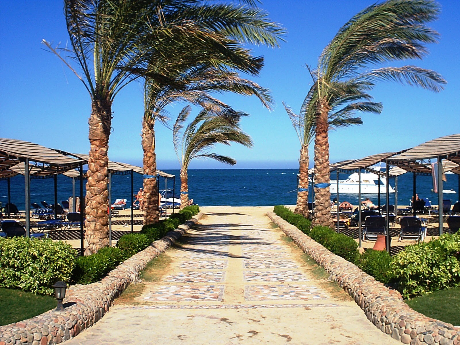 🌟✨ Путешествие в Египет — незабываемые впечатления ждут вас! 🏖️ 📍 Дворец «Тысяча и одна ночь» (Alf Leila Wa Leila) в Хургаде — погрузитесь в мир восточной сказки! 🏰 Этот великолепный дворец с мостами, башенками и куполами — идеальное место для вечерних шоу. Проживающим в отеле — вход бесплатный! 🎭🎉 📍 Grand Rotana Resort & Spa 5 в Шарм-эль-Шейхе* — роскошный отдых рядом с коралловым пляжем 🌊. Открытые бассейны, SPA, тренажерный зал и уютные виллы на первой линии! Пляж с коралловыми рифами — для любителей сноркелинга! 🐠🌴 📍 Shores Amphoras Resort 5 в Шарм-эль-Шейхе* — отдых на белоснежном пляже с коралловыми рифами! Плавание, водные горки и активная анимация для всех возрастов! 🌊☀️ 📍 Остров Тиран — рай для любителей дайвинга! 🐢 Станьте частью этого подводного чудо-мирного путешествия, погружаясь в кораллы и затонувшие корабли! 🛥️⚓ 📍 Остров Гифтун в Хургаде — кристально чистая вода, белоснежные пляжи и невероятное разнообразие морской фауны! 🐠🌅 Идеальное место для отдыха и дайвинга! 💥 Все туры по Египту подберет для вас наш туристический агент! Мы гарантируем надежность и безопасность вашего отдыха! 🌟 📞 Уточните актуальную цену и забронируйте тур по телефонам: +7(3412)901-322 📲 +7(995)798-75-74 📲 📧 Пишите на E-mail: art.klub@mail.ru 📍 Наш адрес: 426011, Удмуртская Республика, г.Ижевск, ул.10 Лет Октября, д.53, офис 403 🎉 Сделайте свой отпуск незабываемым с Art Club! 💼🌍 #Египет #путешествия #туризм #отдых #ШармЭльШейх #Хургада #курорт #отель #путевки #дайвинг #экскурсии #солнце #пляж #артклуб #туризмИжевск #горищетуры